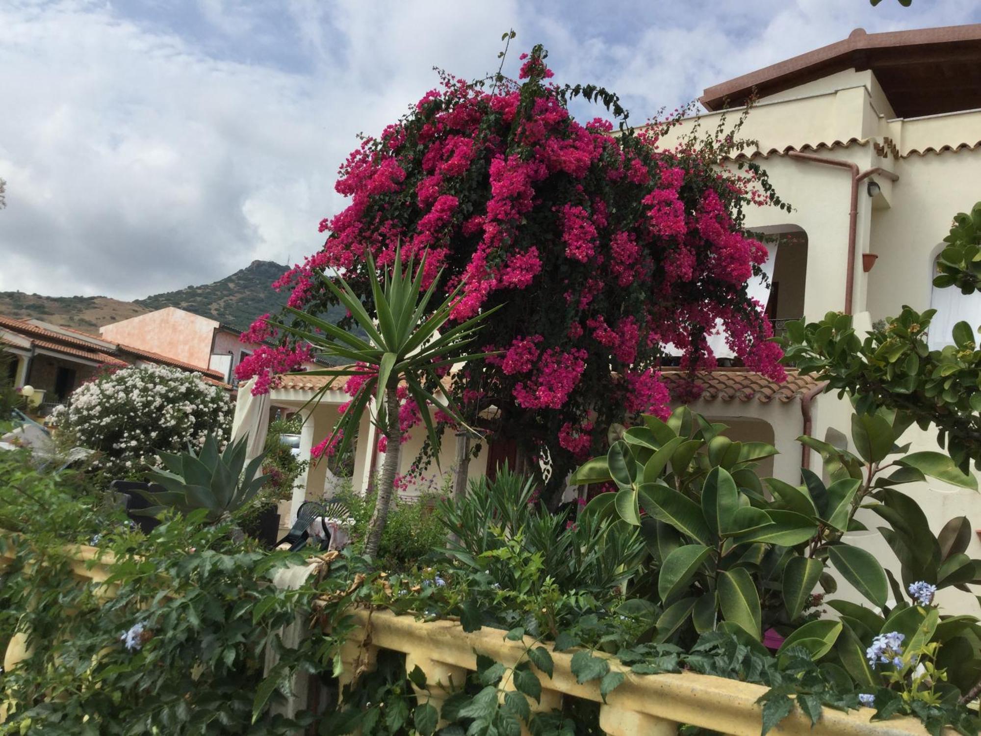 Villa Bouganville Valledoria  Esterno foto